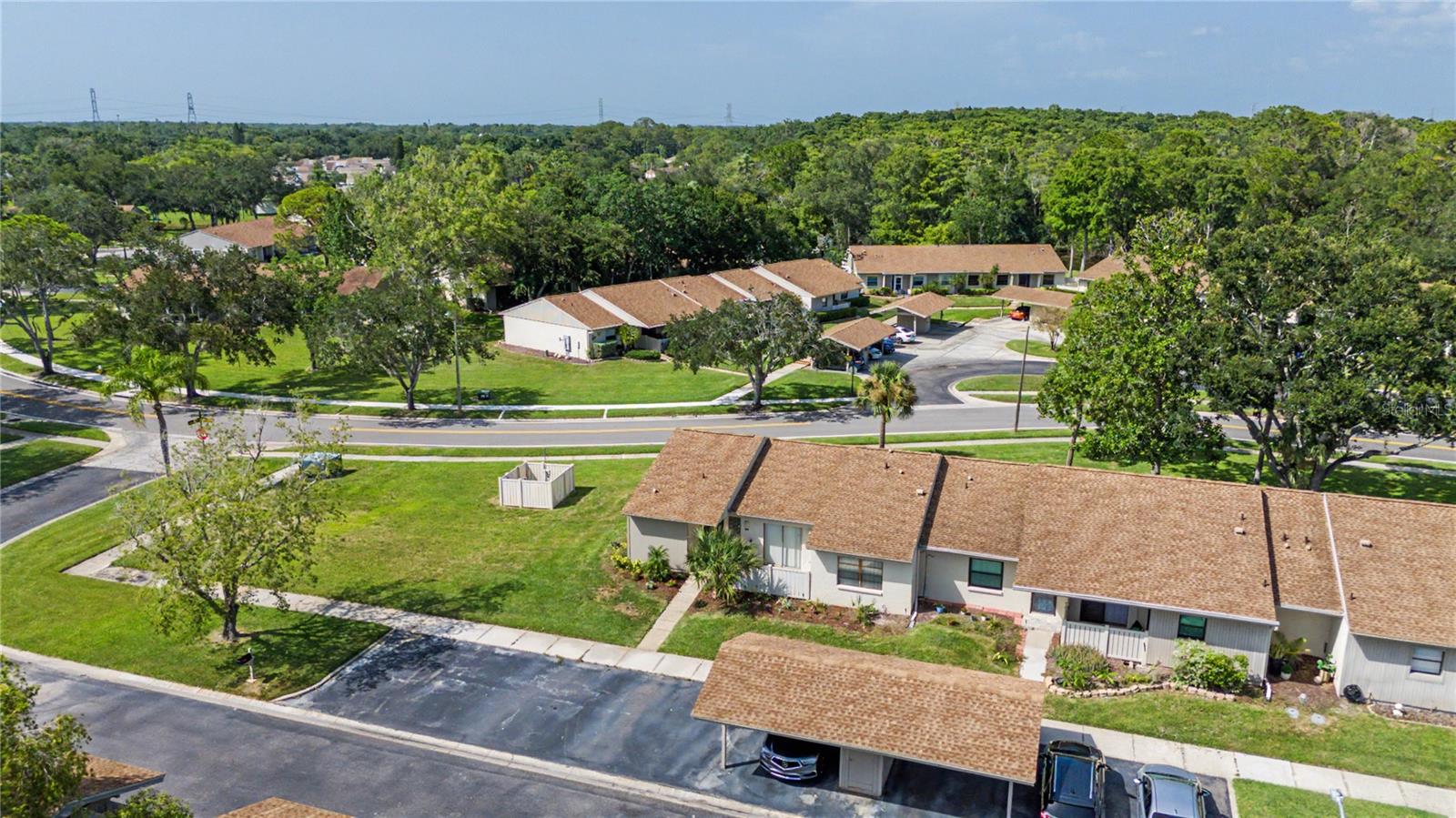 EAST LAKE WOODLANDS CLUSTER HOMES - Residential