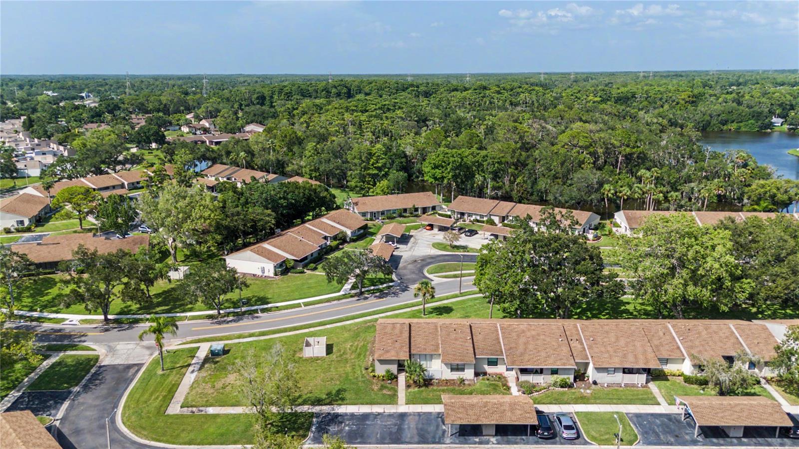 EAST LAKE WOODLANDS CLUSTER HOMES - Residential