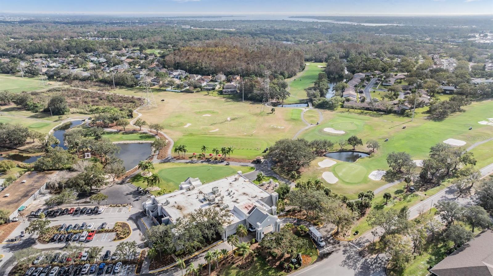EAST LAKE WOODLANDS CLUSTER HOMES - Residential