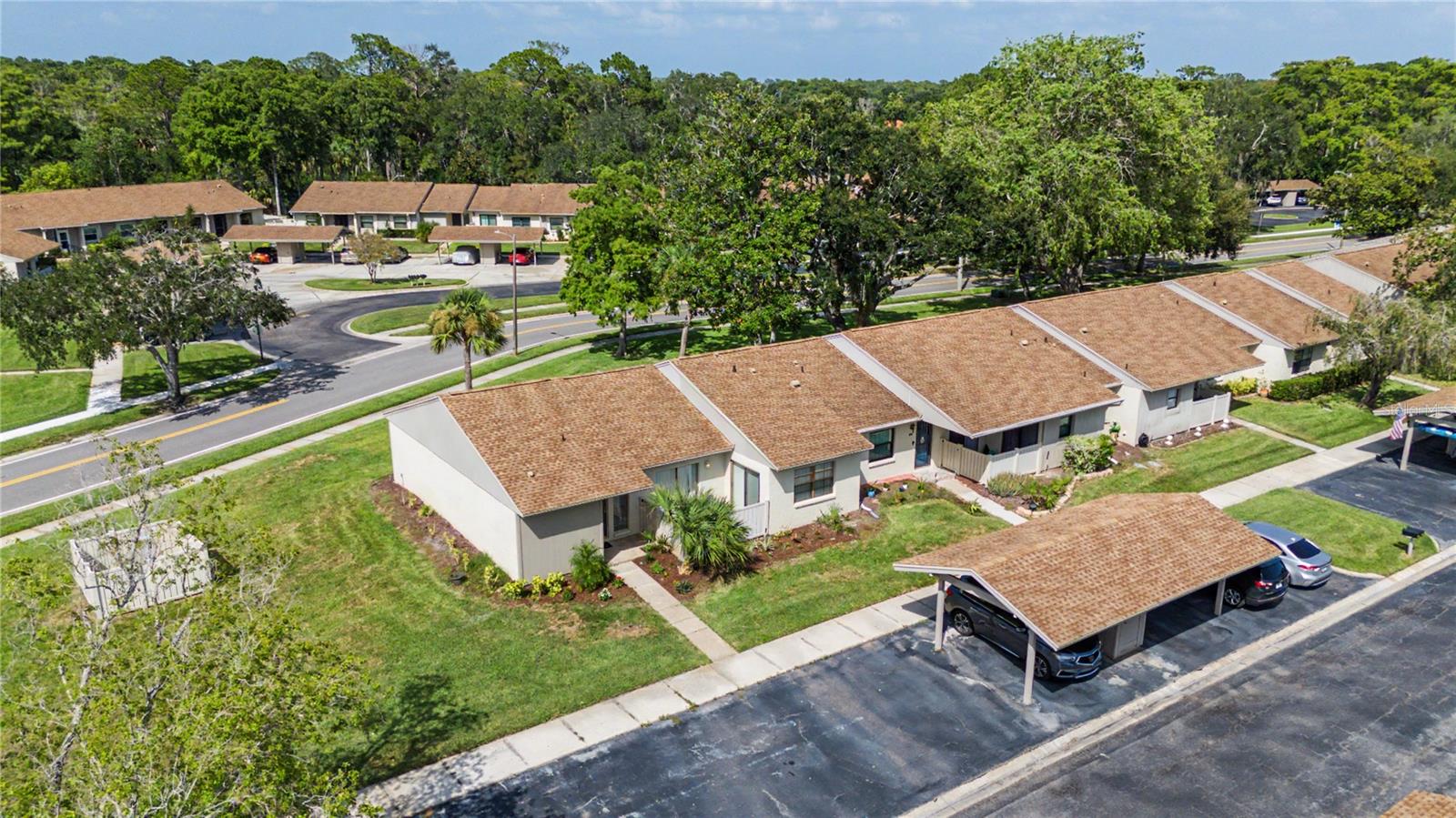 EAST LAKE WOODLANDS CLUSTER HOMES - Residential