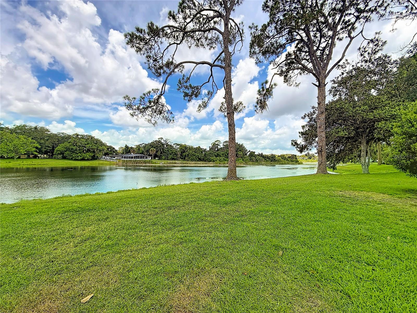 TWIN LAKES VILLAGE WEST CONDO - Residential