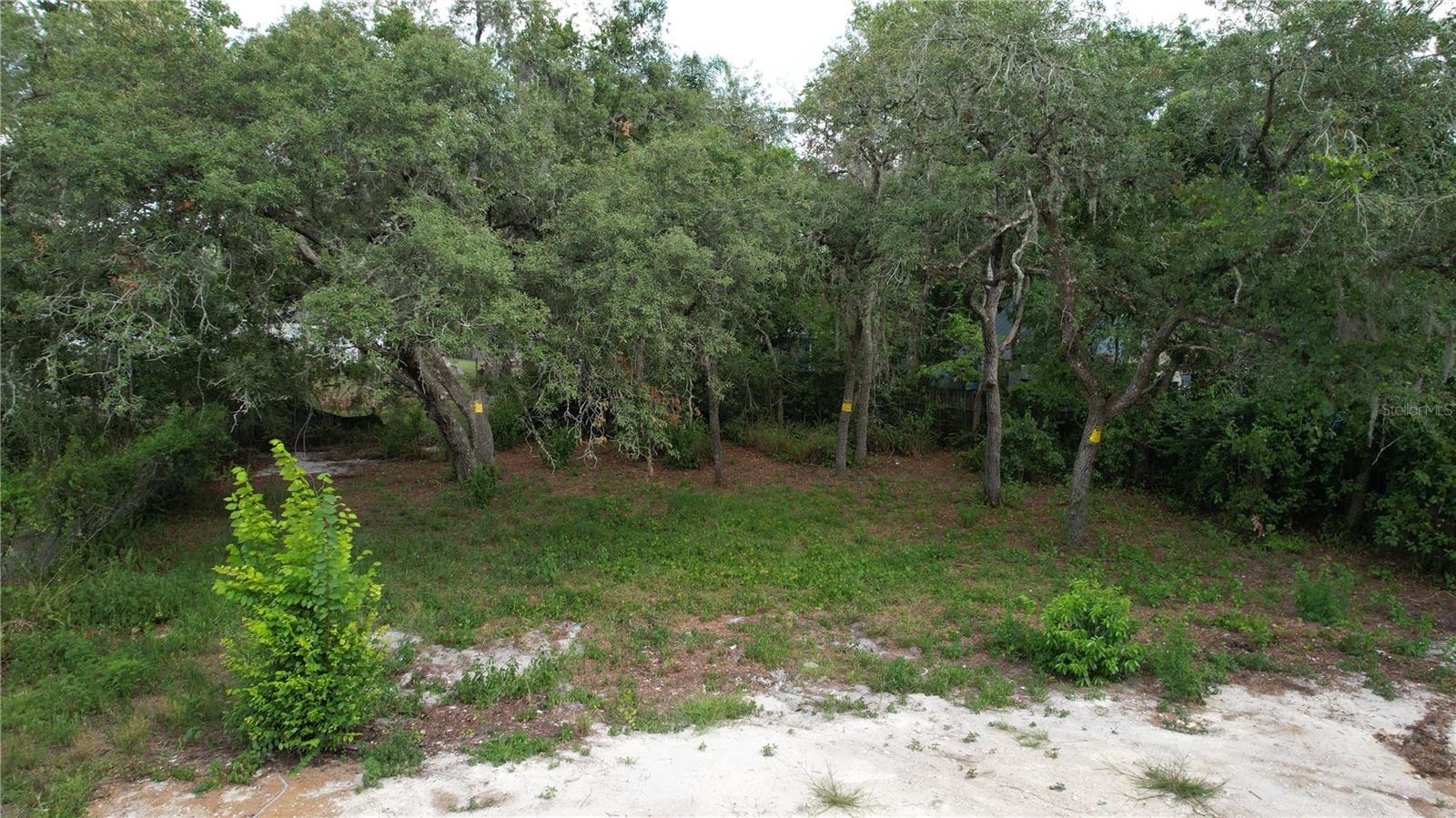 MOON LAKE ESTATES - Land
