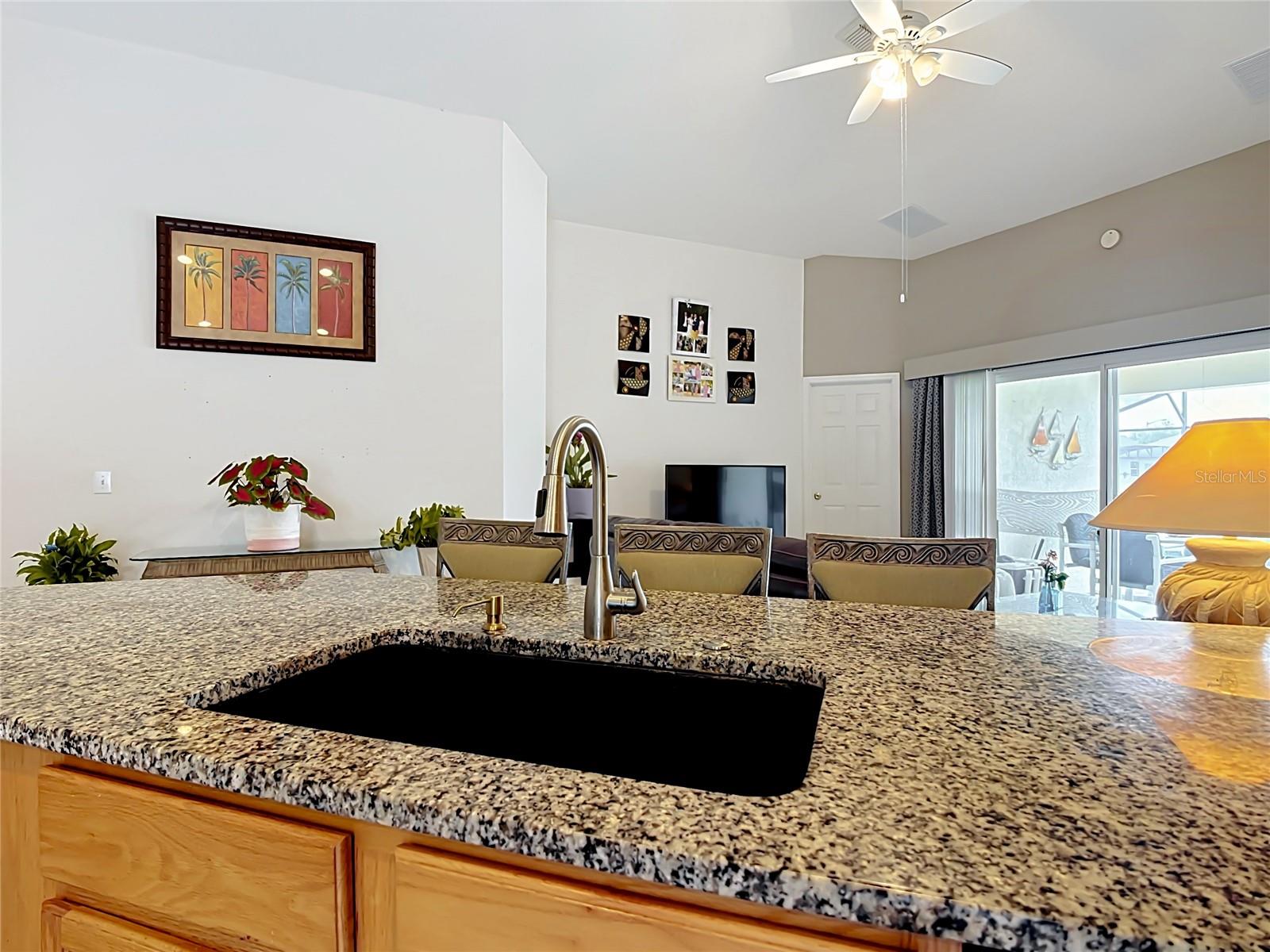 REMINGTON PRCL M1 - Residential