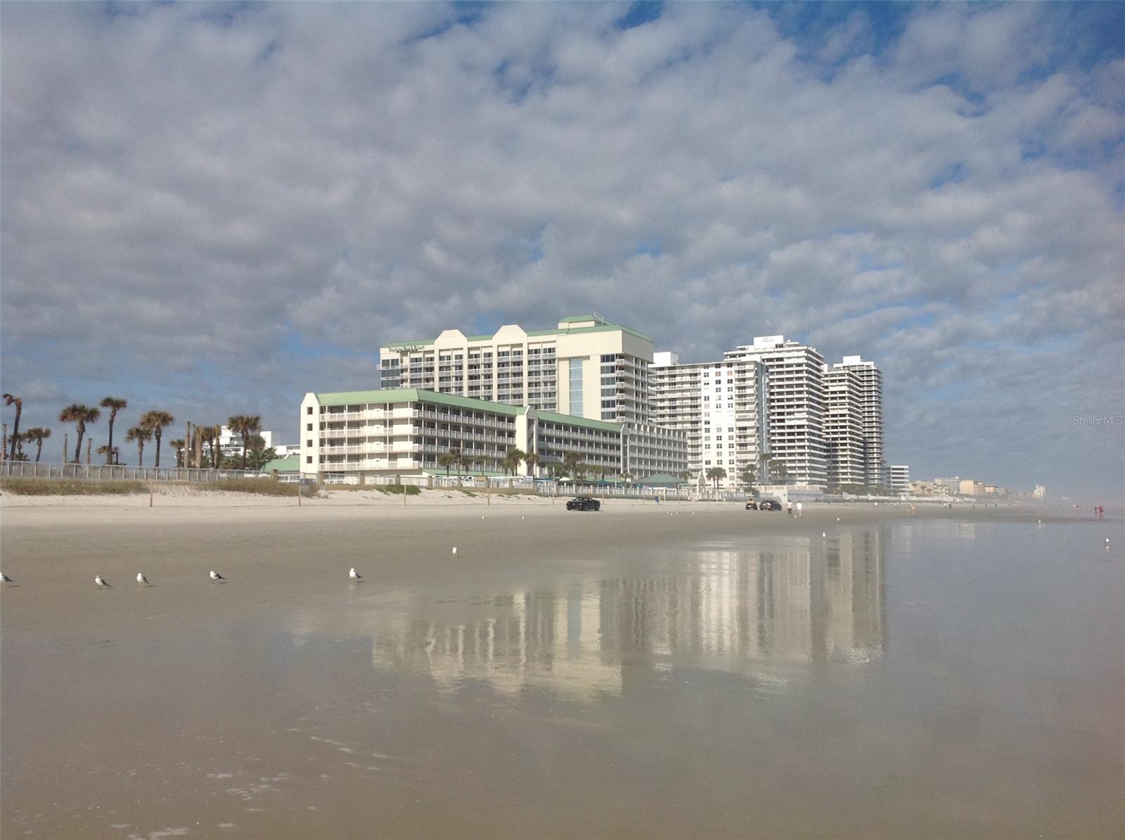 Executive 14th Floor Completely Remodeled Studio with a Northeast View of Beach and City ;Water: City