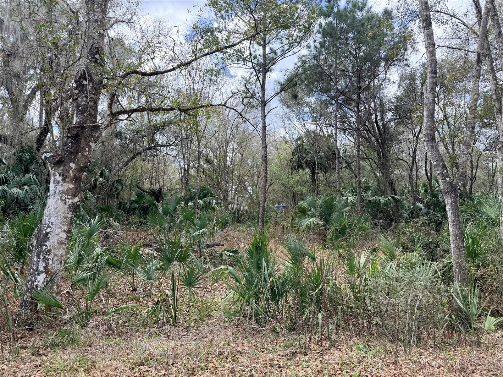 The corner lot has power across the street, and you have direct road frontage on Gulf to Lake Highway. Discover the exceptional 1.67-acre property situated in the heart of Inverness. Nestled in a serene environment, this hidden treasure offers an ideal combination of seclusion and accessibility, providing a perfect foundation for your envisioned lifestyle. Ideally positioned to The Villages and near Inverness's amenities, including shopping, dining, premier medical services, pristine lakes, and the renowned Withlacoochee Bike Trail, with easy access to I-75. Seize this unique opportunity to claim your piece of paradise in Inverness. Contact us today to arrange your private tour