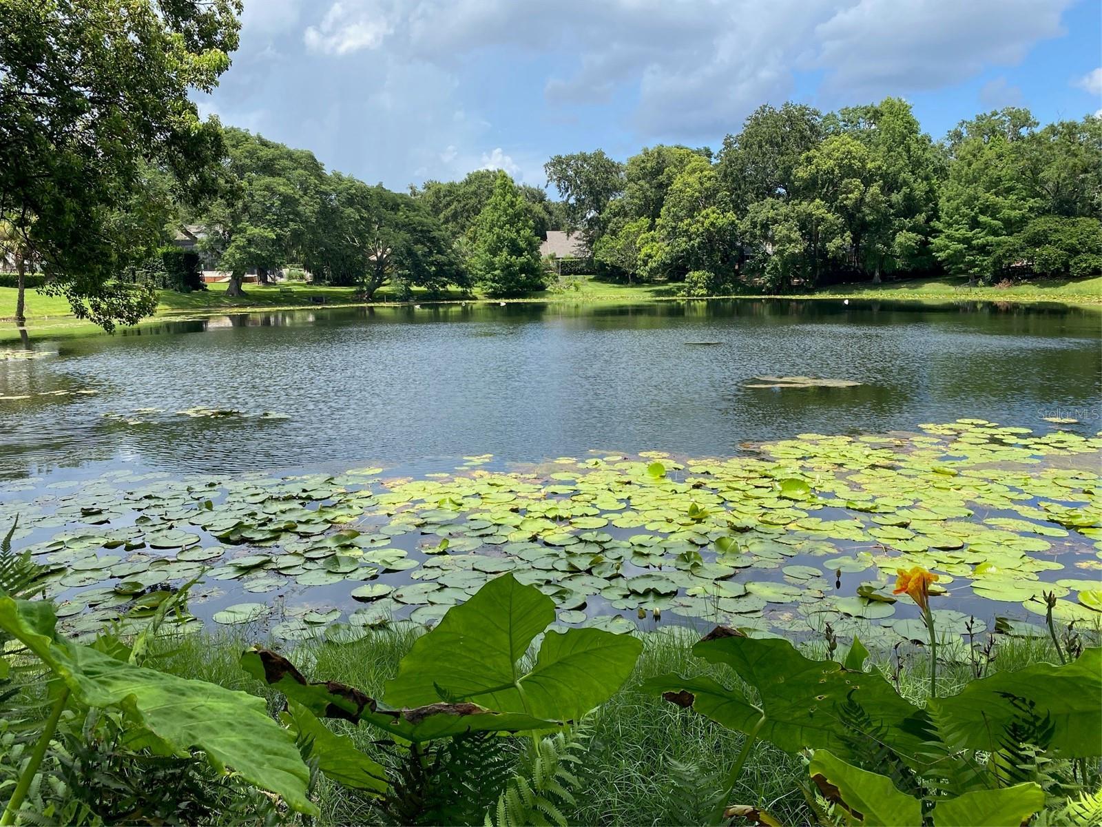 Exceptional opportunity in the heart of Winter Park - a truly premier and irreplaceable homesite offering rare scale, privacy, and extraordinary future build potential. The primary value is in the land, presenting an unparalleled canvas for a custom luxury residence, with virtually no comparable vacant land available in the immediate vicinity. Set on a tranquil small lake that provides remarkable serenity and picturesque water views, this property combines peaceful natural surroundings with unbeatable walkability. Ideally positioned just steps from the Racquet Club, moments to Park Avenue's renowned dining, boutiques, and cultural venues, and within easy reach of the Winter Park Chain of Lakes. The location also offers the distinct prestige of residing within the coveted "Vias" of Winter Park, a collection of streets long regarded as one of the city's most established and desirable residential enclaves. Whether envisioned as a modern architectural statement or an elegant estate home, this site delivers the location, setting, and versatility sought by discerning builders, investors, and end users alike - a rare chance to secure one of winter Park's most desirable land offerings in a highly established neighborhood.