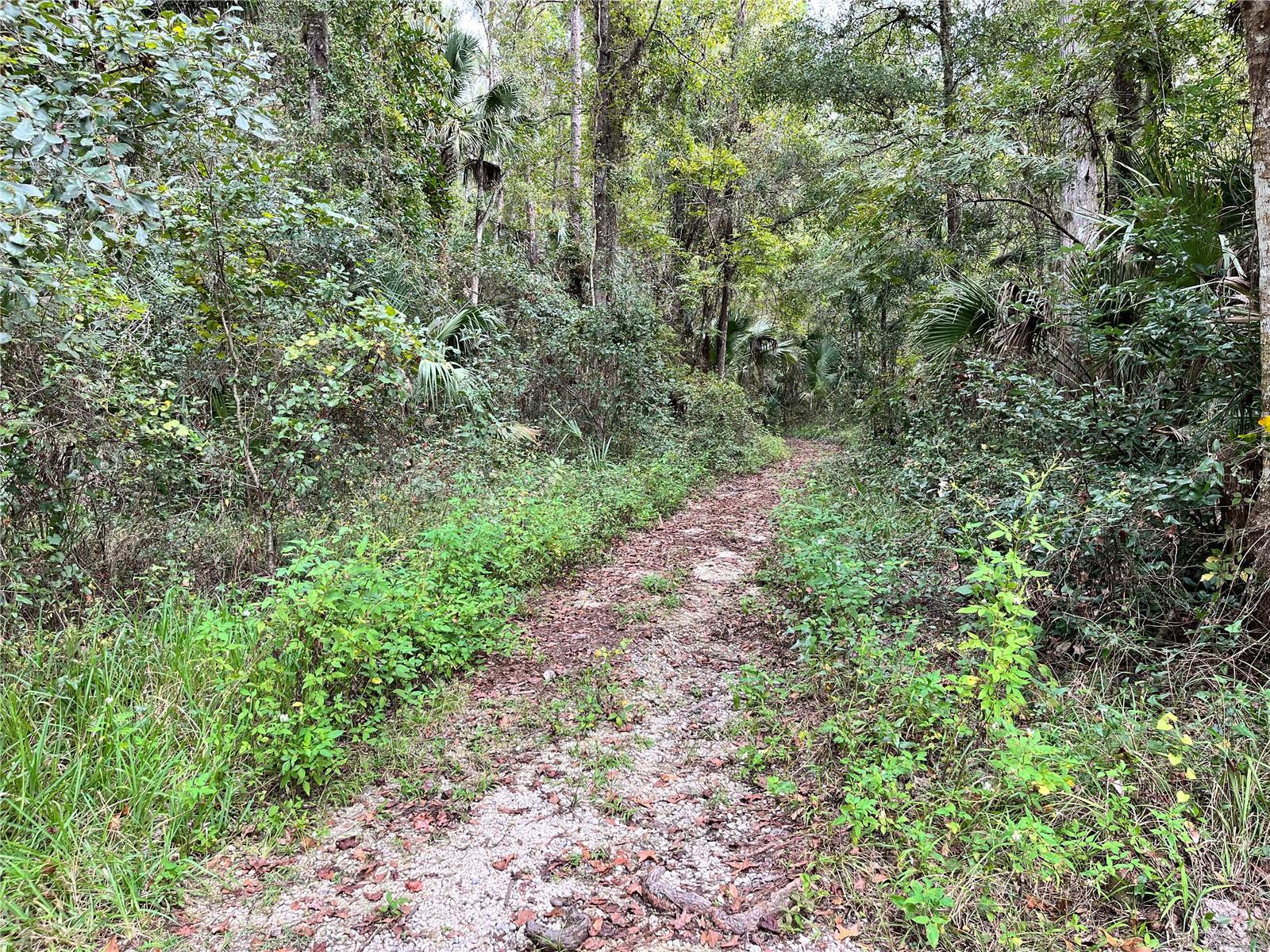 VILLAGE PARK AT THE WILDERNESS RV PARK ESTATES - Land