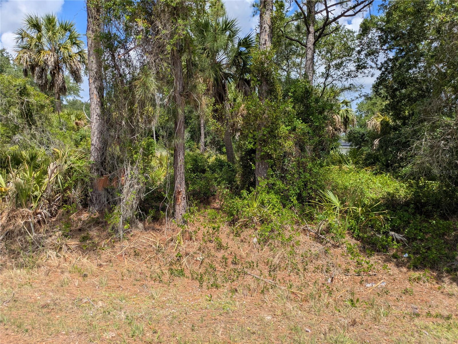 PORT CHARLOTTE SUB 23 - Land
