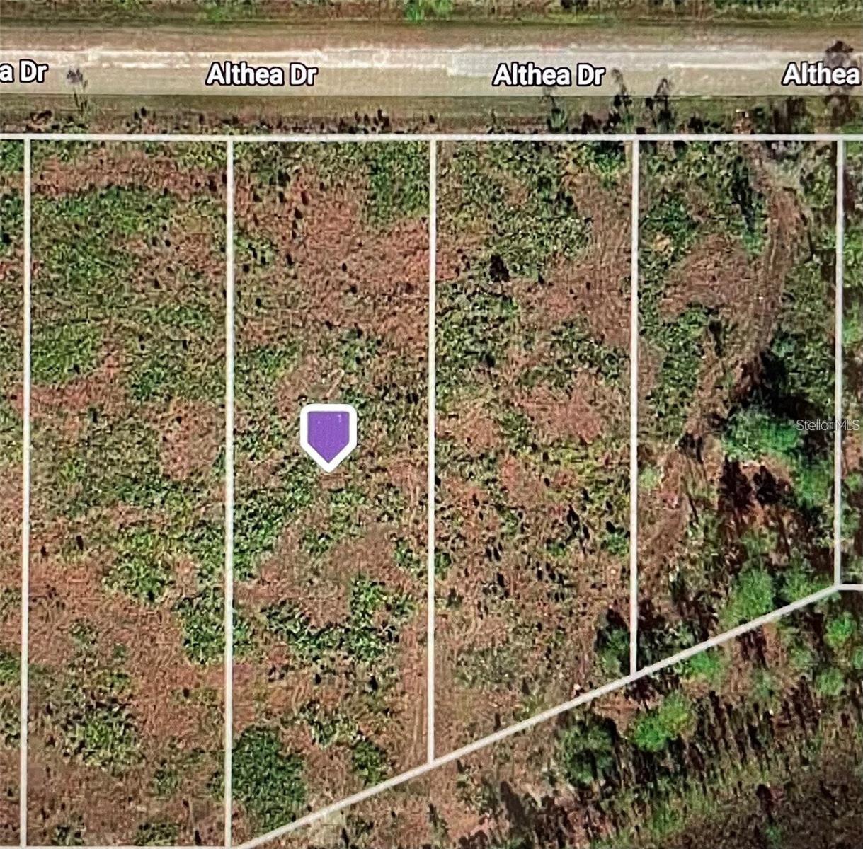 Investor alert! Vacant residential lot on Althea Dr in  Lake Wales, FL 33898. Ideal for spec home construction or buy-and-hold strategy in a growing market. Established community with amenities and low annual HOA fee. Convenient access to major roads, shopping, and recreation. Buyer and buyer’s agent must conduct their own due diligence and verify zoning, land use, utilities and building requirements. Property sold as-is. Strong upside potential.