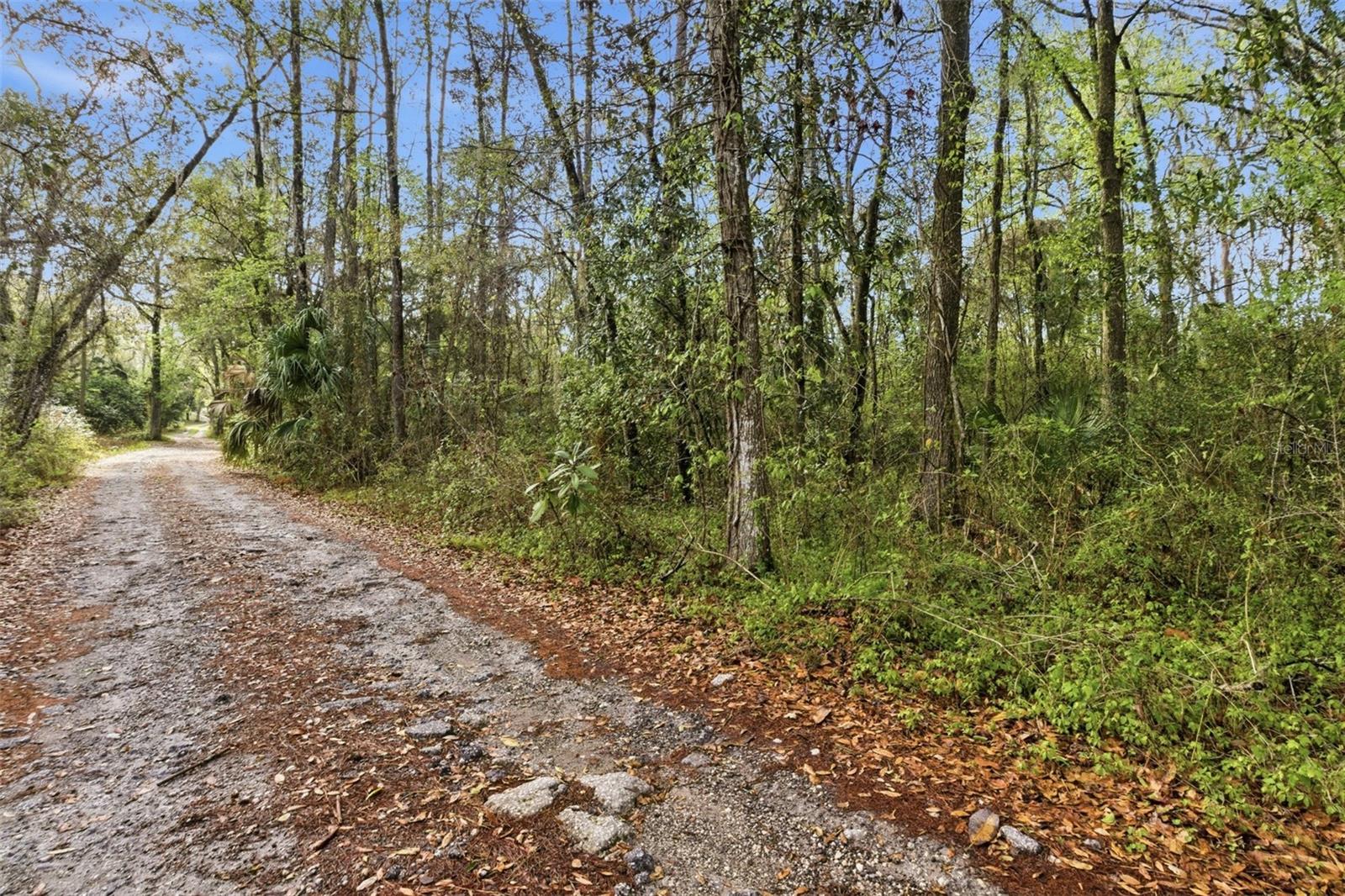 This .90-acre wooded lot in Brooksville is tucked away on a quiet road, offers a peaceful, country setting surrounded by mature trees—ideal for those looking to build a custom home or place a new manufactured home. You’re just about 10 minutes from town when you need to run out for anything.
Zoned AR-2, so you’ve got flexibility to build, bring animals, and create something that fits your lifestyle—without being boxed in by an HOA. And best part, it’s not in a flood zone.
It’s the kind of property where you can clear what you want, keep what you love, and make it your own.