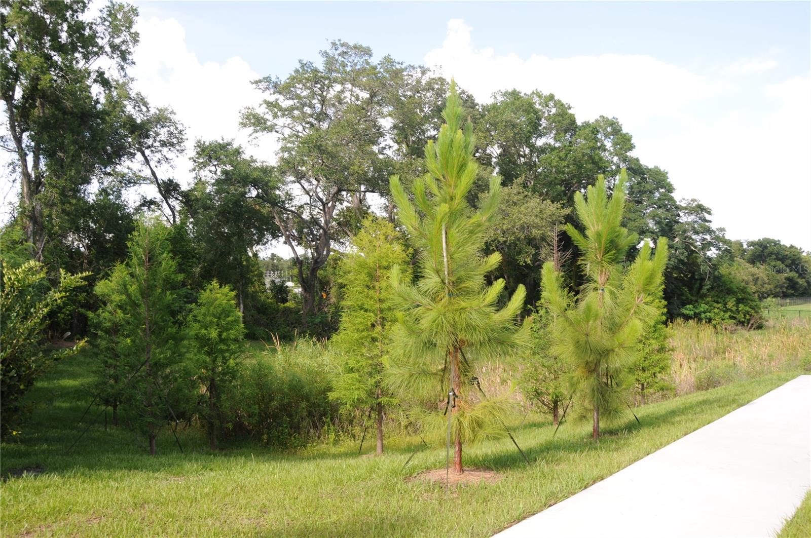 GARDENS/DIANA NORTH BLDG 2 - Residential