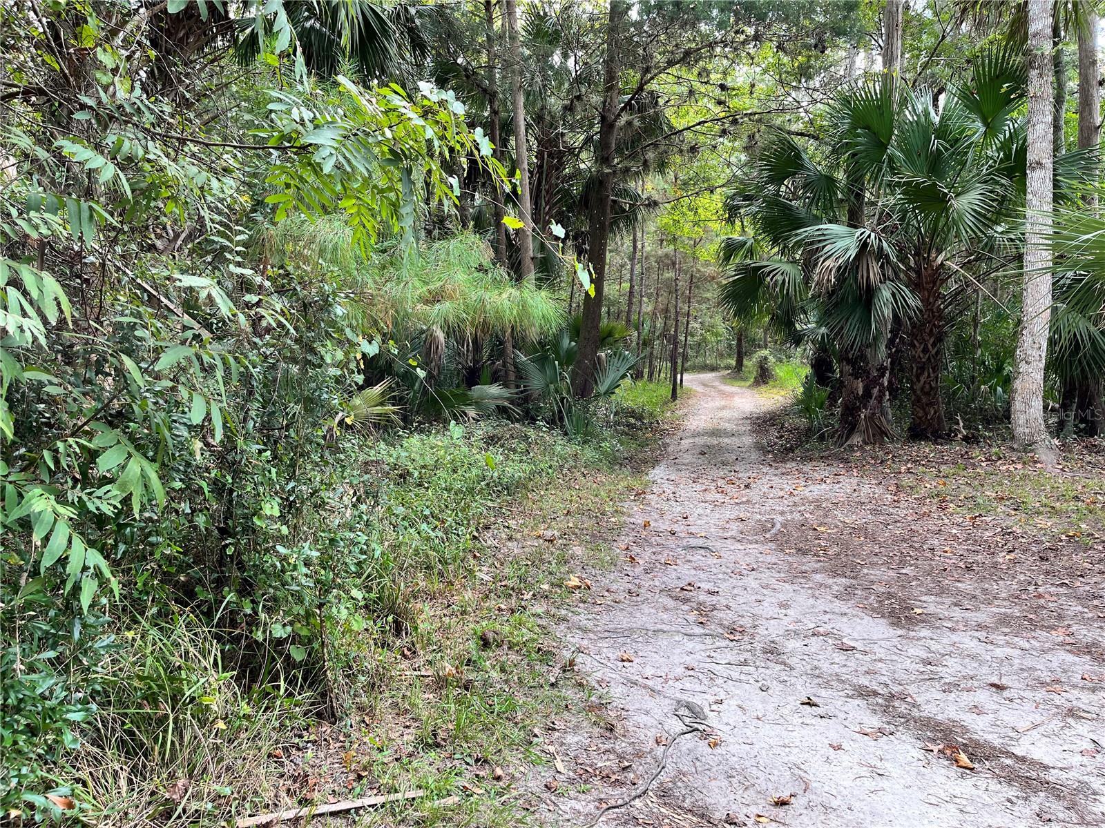 VILLAGE PARK AT THE WILDERNESS RV PARK ESTATES - Land
