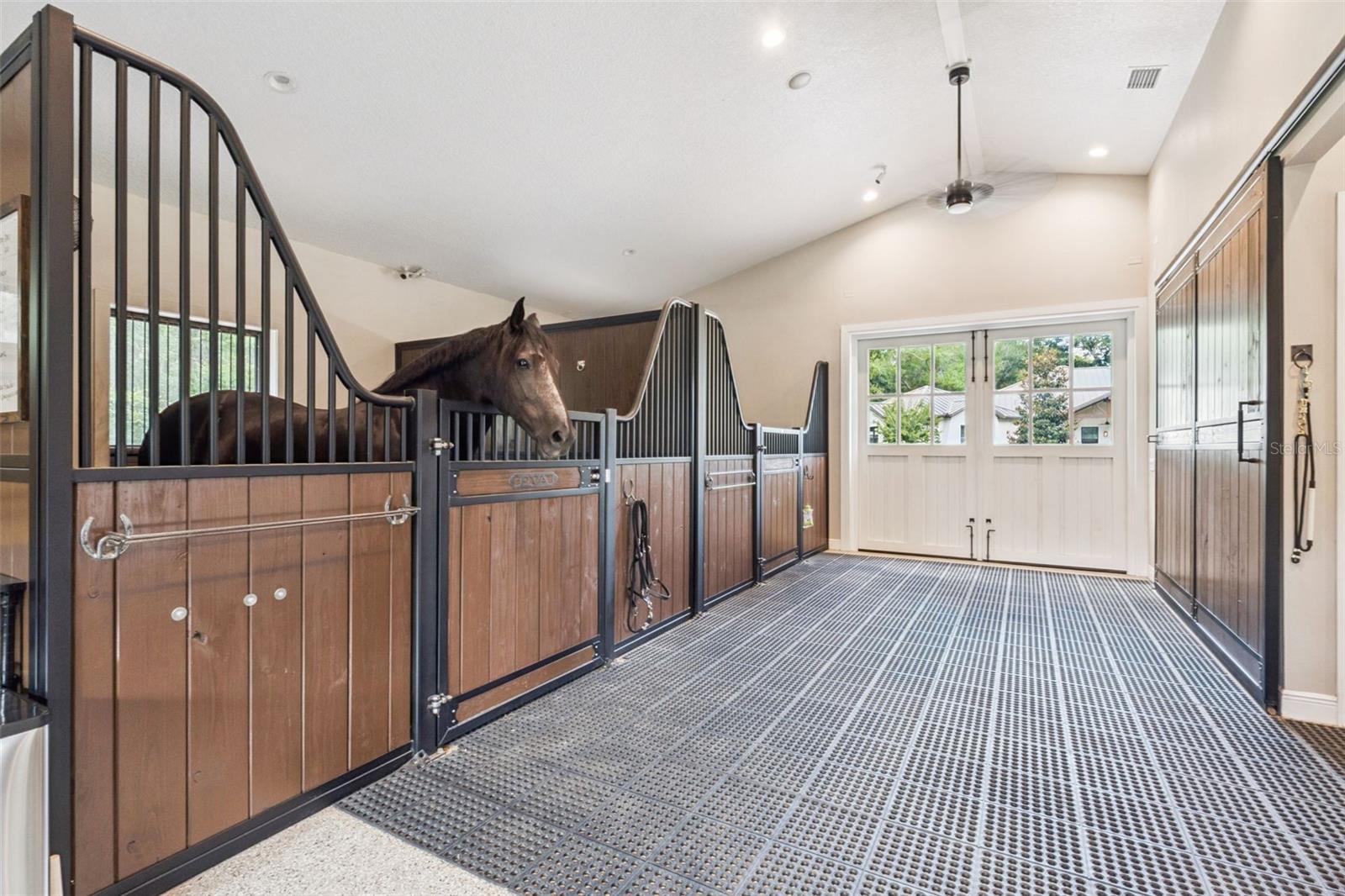 WOLFHEAD RDG - Residential