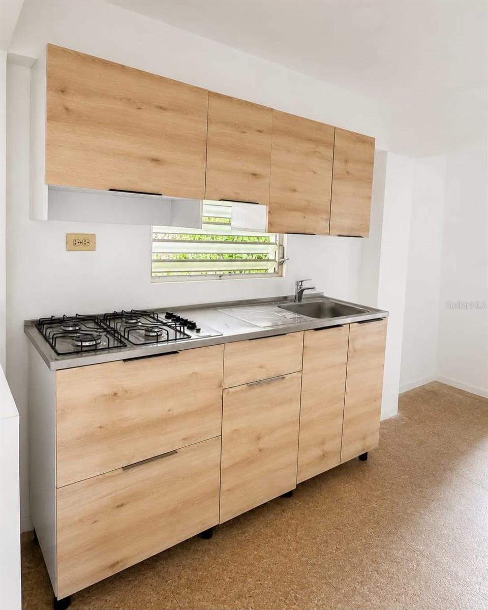 BO PUENTE CAMUY - Residential