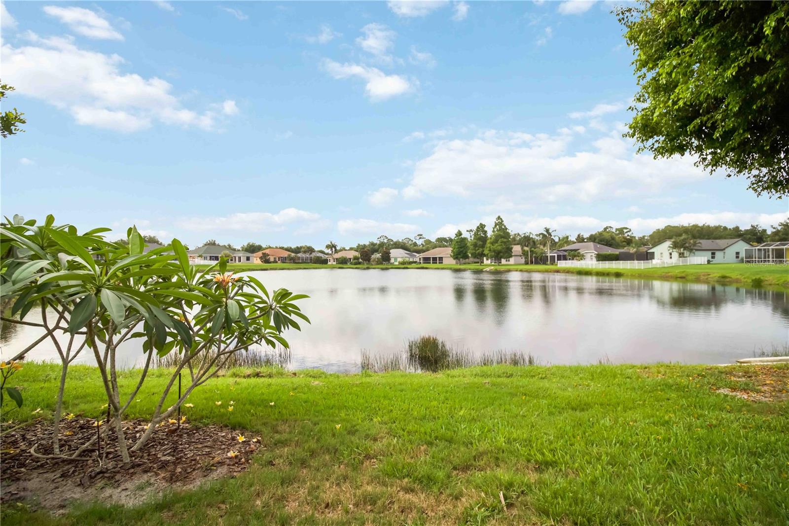 RIVER WOODS PH II - Residential