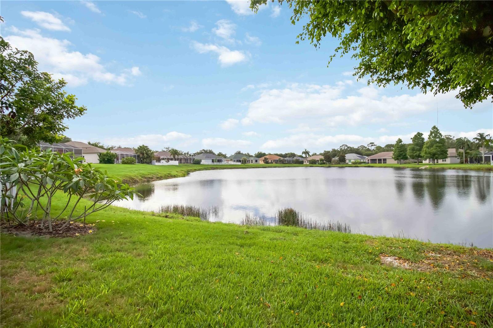 RIVER WOODS PH II - Residential