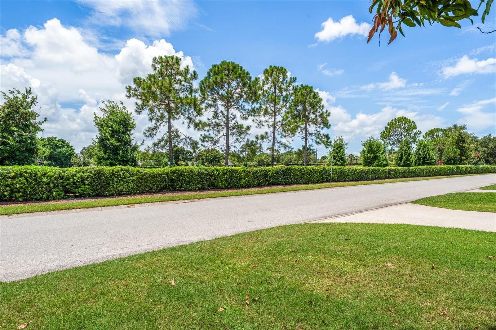 BELLEAIR ESTATES - Residential