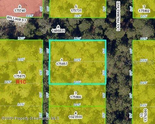 This lot is just blocks off of US Highway 19, is near many amenities and a nice community with beautiful homes. The amenities close by include restaurants, banks, medical, hospital, shopping centers, supermarkets, and big box stores. If you enjoy sunsets, swimming, fishing, boating, kayaking or canoeing, there's a handful of local parks along the water including Weeki Wachee, Rogers Park, Jenkins Creek, Linda Pedersen, and Pine Island beach at the Gulf of Mexico. It's located approximately 1 hour drive to Tampa & St. Pete Airports and 1.5 hours to Orlando and Ocala. The road is dirt and not county maintained but just about 1/2 block from pavement.