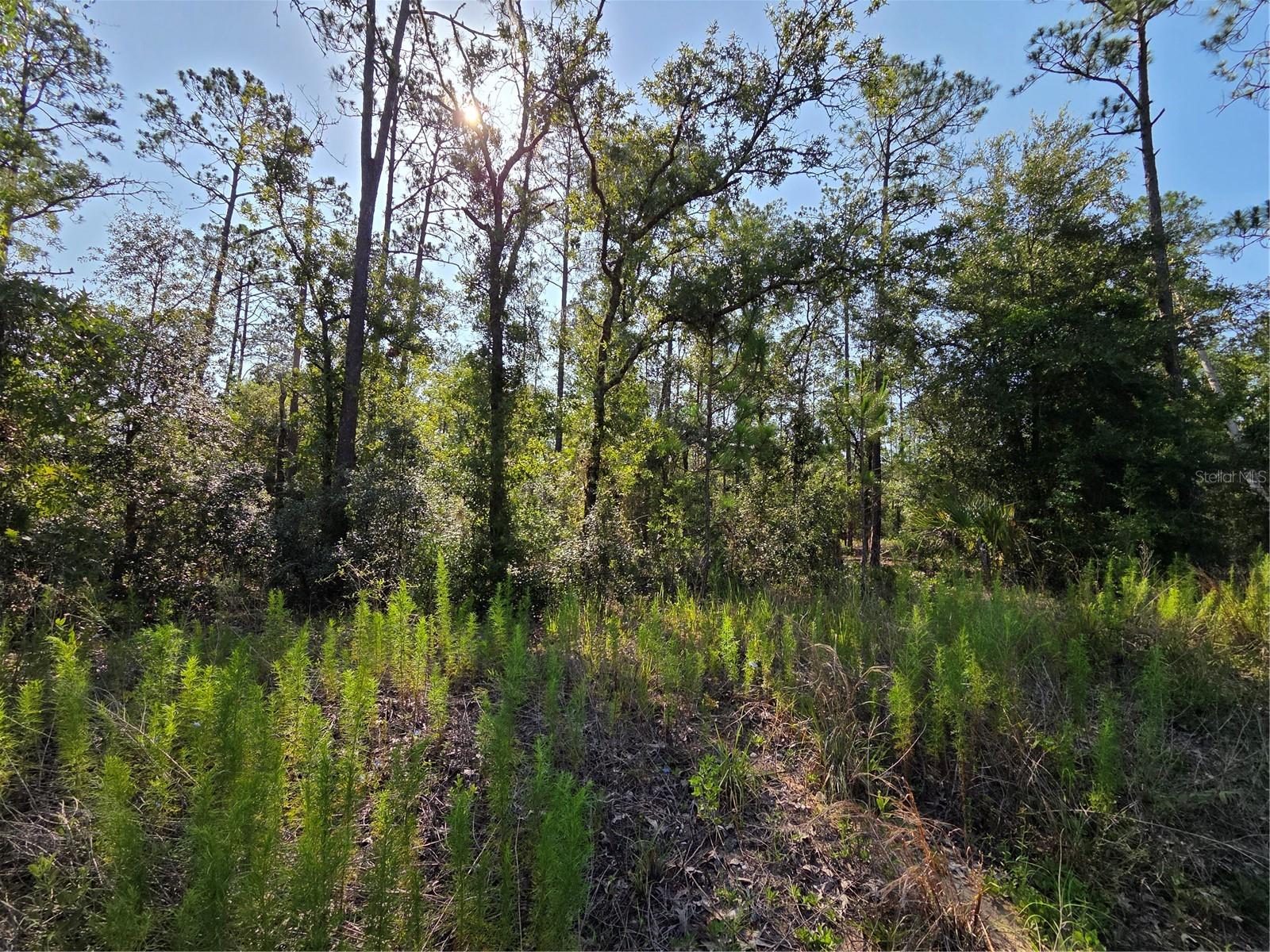RAINBOW LAKES ESTATE - Land