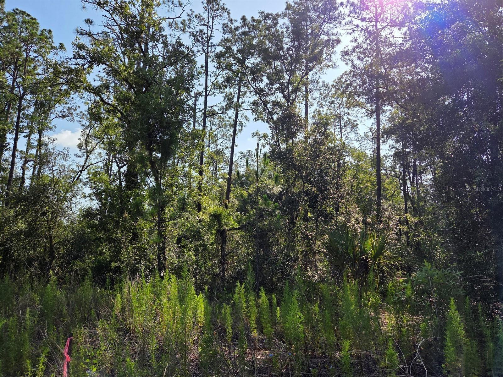 RAINBOW LAKES ESTATE - Land