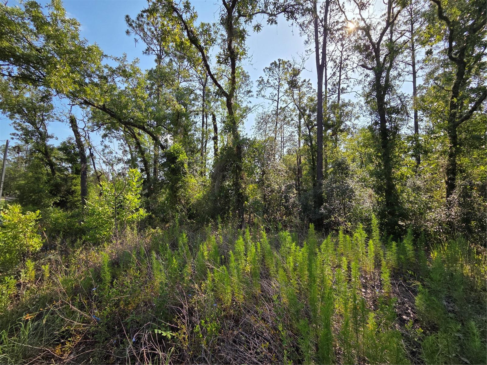 RAINBOW LAKES ESTATE - Land