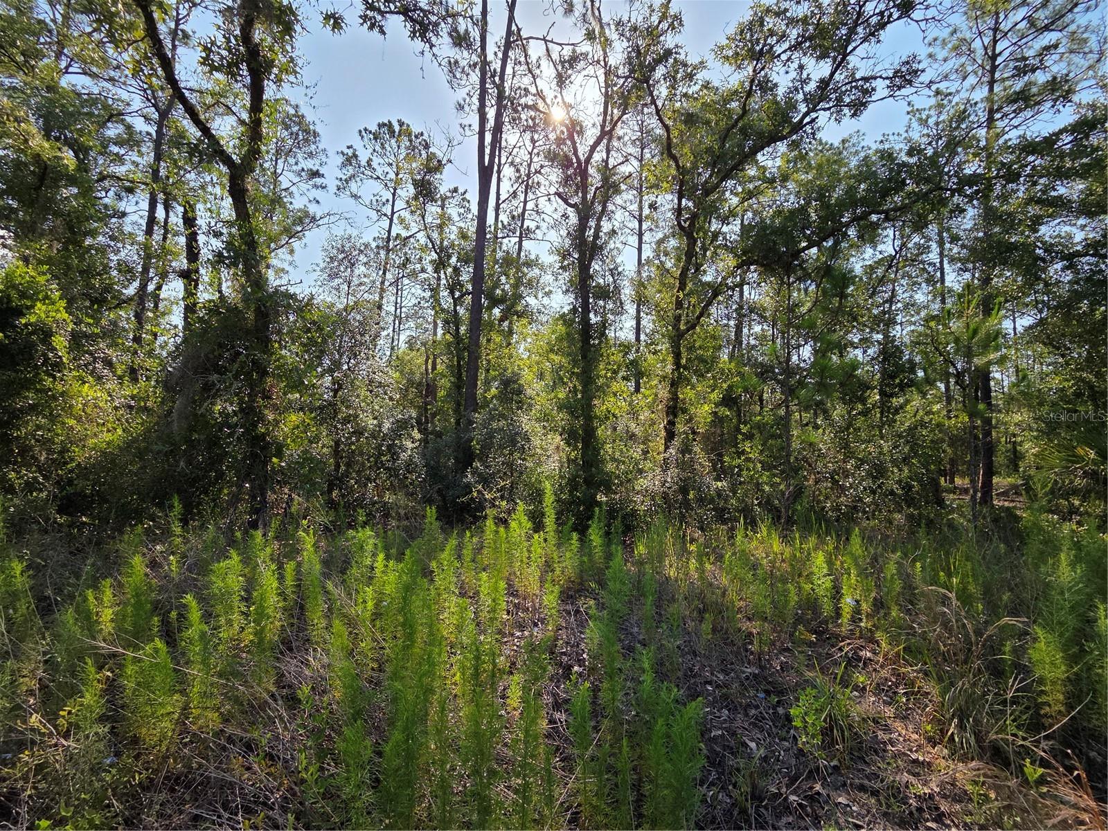 RAINBOW LAKES ESTATE - Land