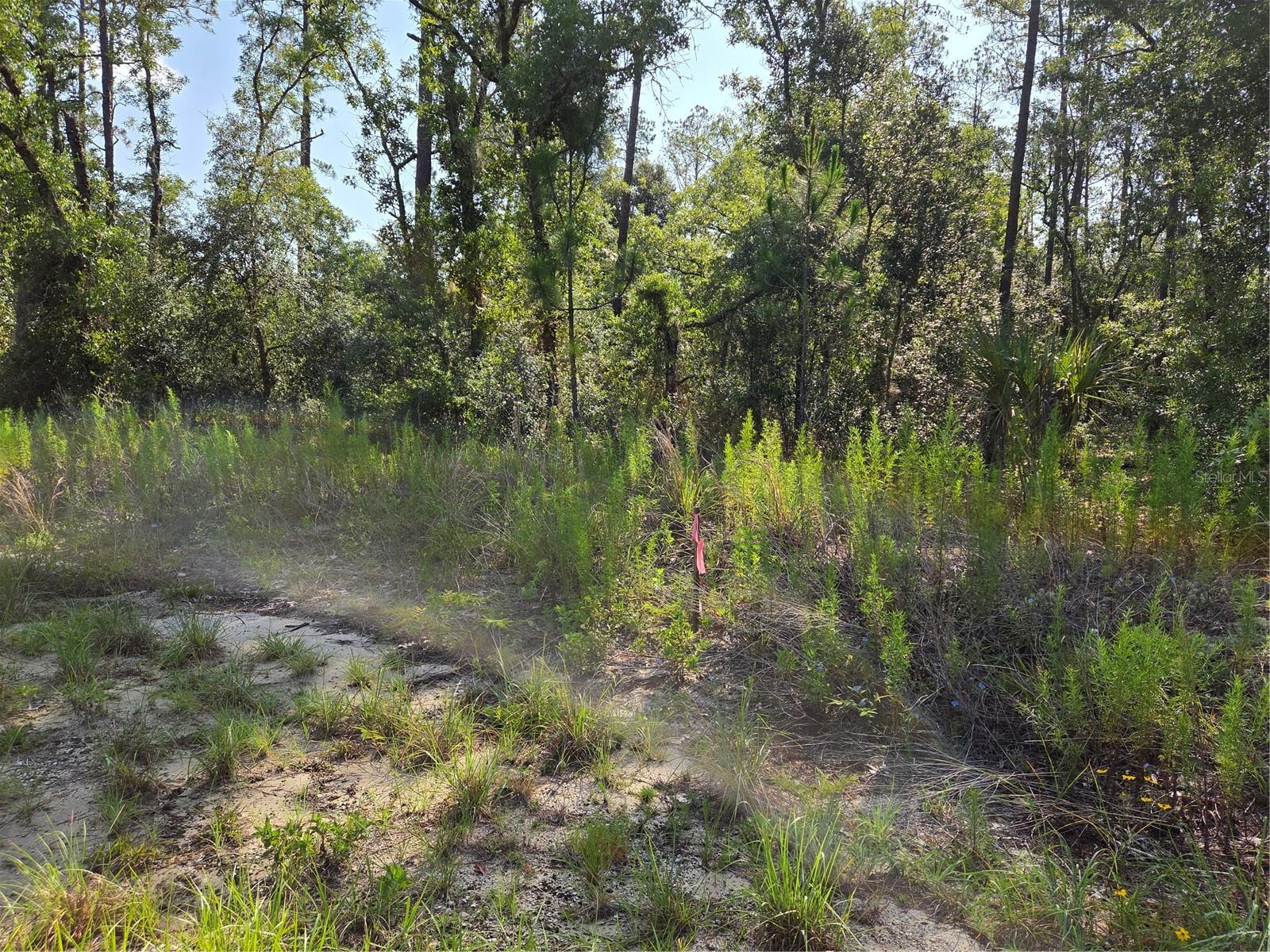 RAINBOW LAKES ESTATE - Land
