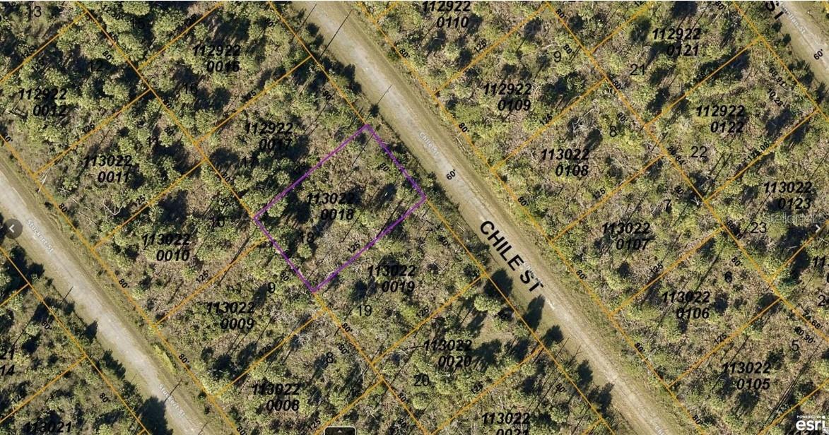 ACTIVITY CENTER 6!!! No HOAs with fees or deed restrictions or CDDs. Not on the North Port Scrub Jay list 05/30/23 - please reconfirm during due diligence. North Port is the 7th largest land mass in Florida-the 110th largest in the country!! The growth and potential are absolutely amazing. Conveniently located to shopping, dining, parks, and all that up and coming North Port has to offer (where so much of the city is new and still being built!) including the new Braves Spring Training Stadium. Many beaches located within a 35 minute drive from this lot. New construction is everywhere you look and you can be part of the action. Information about local builders is available upon request. Also great for self directed IRAs, 401Ks and other investment portfolios.