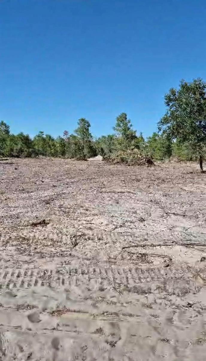 Build your dream home on this 1.26-acre (55,047 sq. ft.) lot. This high and dry land has already been cleared and is ready for construction. The property is located on a paved dead-end road, positioned on the right side across from a house of worship. The location is conveniently situated off Route 27 South near Route 60, providing easy access to Lake Wales city center. Notably, there are no HOA fees or CDD assessments associated with this land.