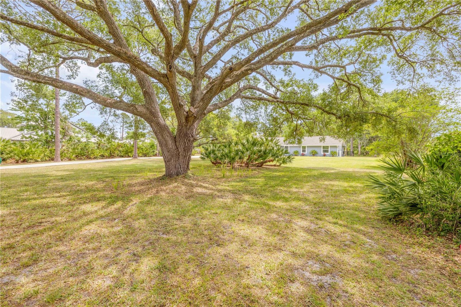VILLAGE PINE RUN - Residential