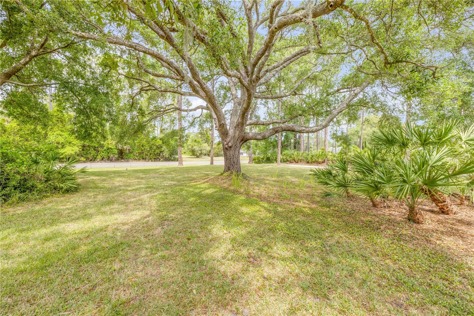 VILLAGE PINE RUN - Residential