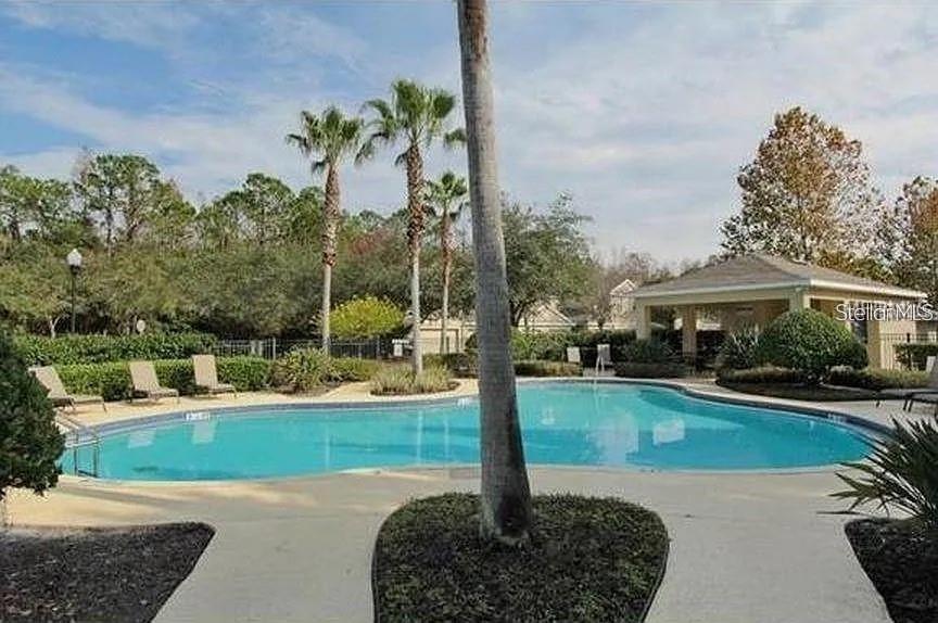 WINDSOR PLACE AT CITRUS PARK P - Residential