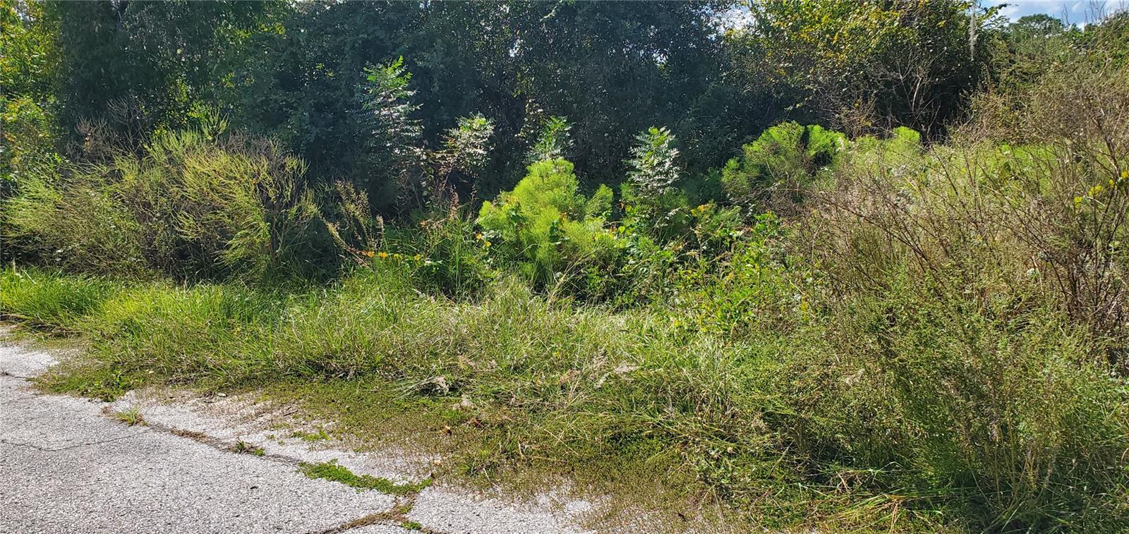 If you like privacy and nature at its best, this homesite is for you. Huge oversize lot (.46 acres). Priced right for an immediate sale. Buy and hold for future investment. Located in the fast-growing community of Poinciana. Call now!