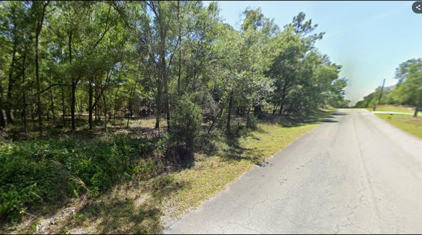 Experience incredible value with this high-and-dry 2+ acre homesite in the desirable and rapidly growing Rainbow Acres community. This spacious property in a homes-only community gives you the freedom to build your dream home while enjoying room to spread out. Outdoor enthusiasts will love the unbeatable proximity to some of Florida’s most beautiful waterways. Enjoy quick access to Rainbow River, Rainbow Springs, Lake Rosseau, the Withlacoochee River, and even the Gulf of Mexico—all perfect for boating, kayaking, swimming, fishing, and endless days on the water. With convenient access to shopping and medical services nearby, this property blends affordability, acreage, and an exceptional outdoor lifestyle in one ideal location