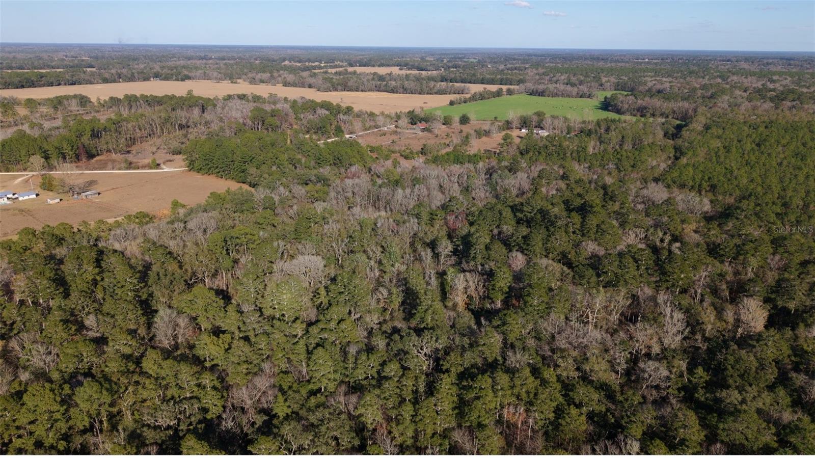 BLAND PLANTATION - Residential