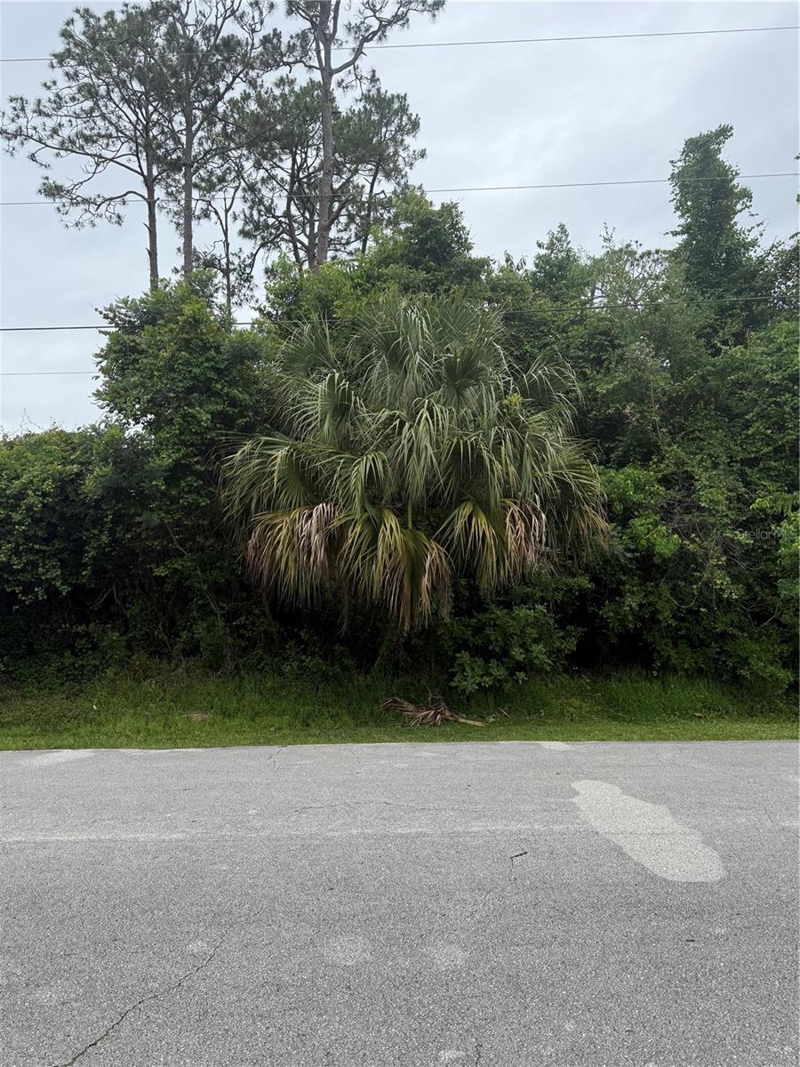 PALM COAST SEC 60 - Land