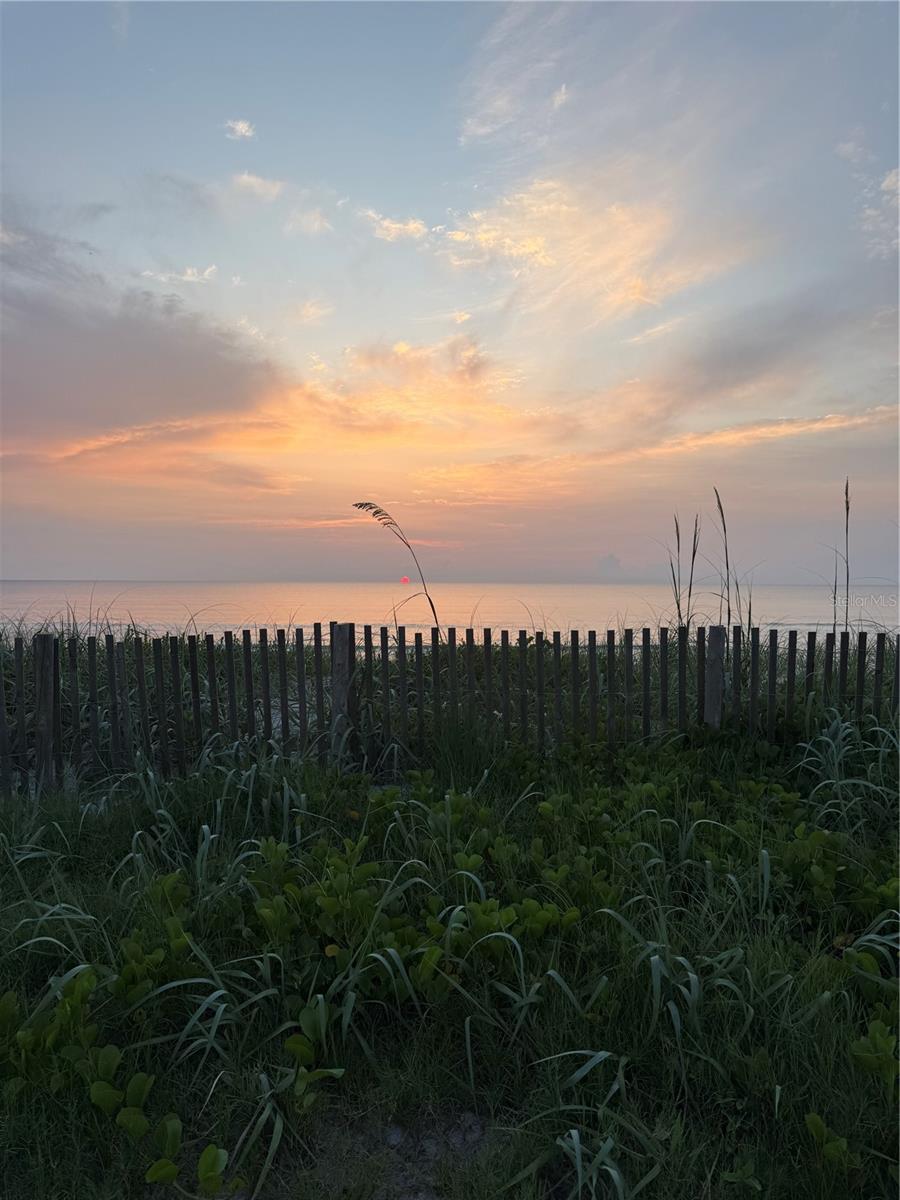 PALM COAST SEC 60 - Land