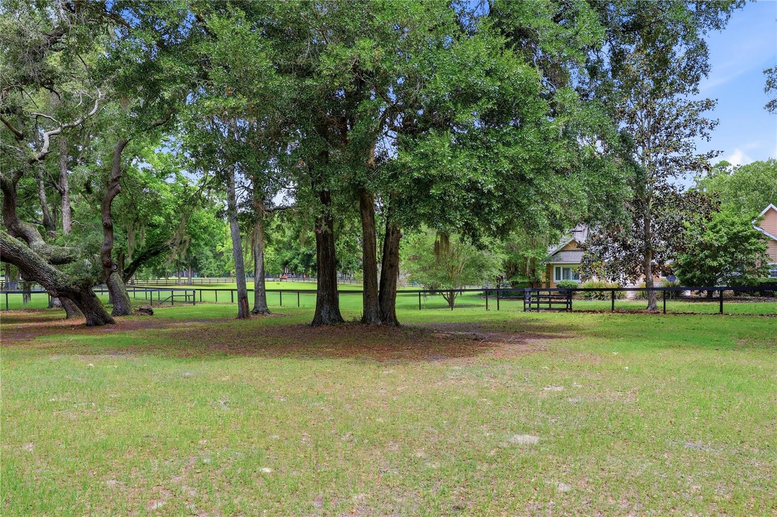 CINNAMON HILLS ESTATES PH 1 - Residential