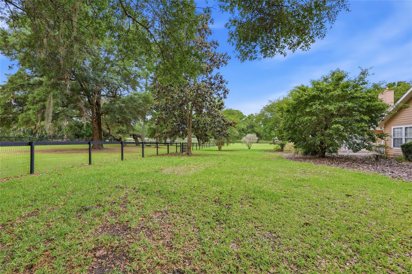 CINNAMON HILLS ESTATES PH 1 - Residential