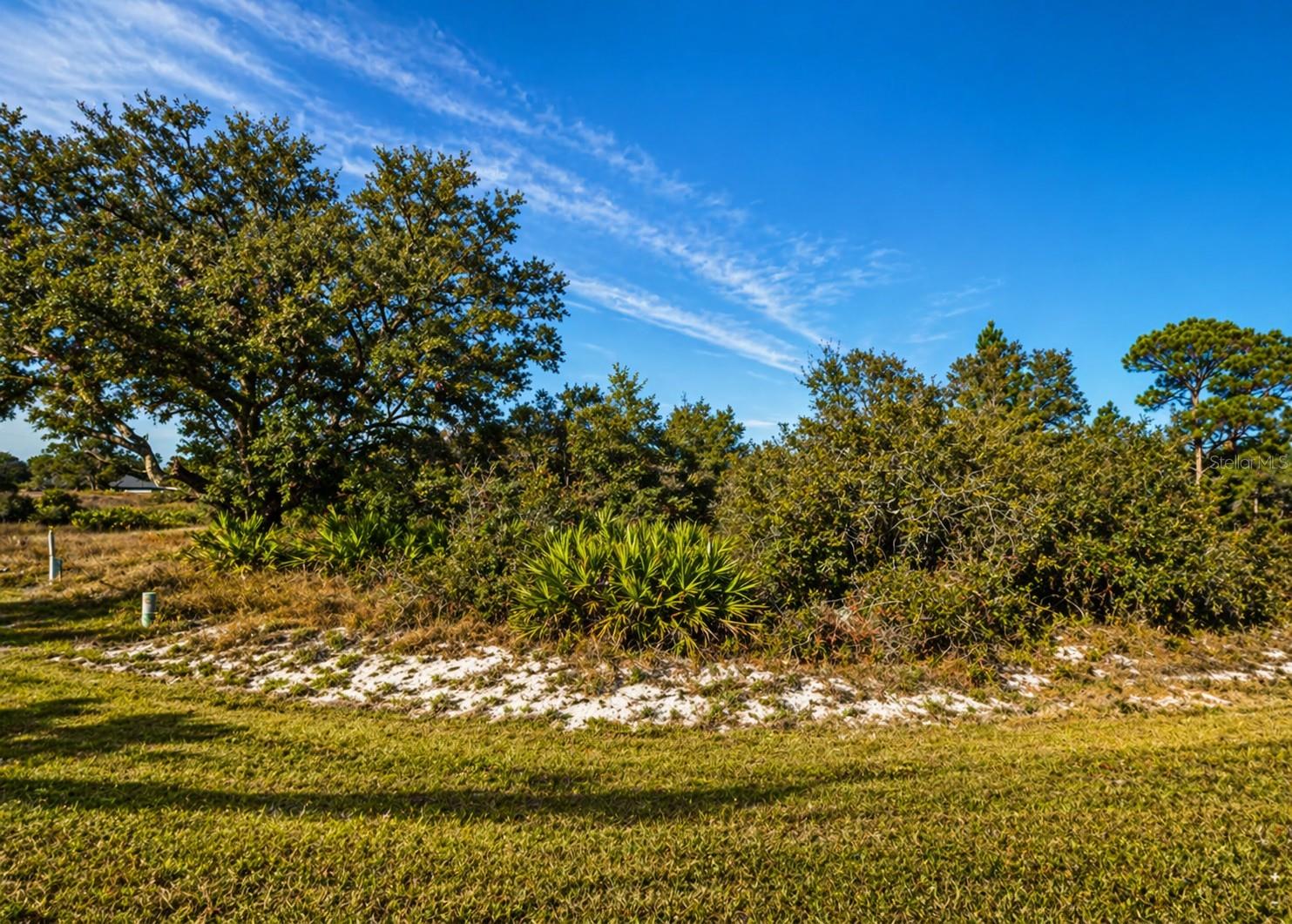 Great opportunity to own an oversized vacant residential lot in Poinciana with approximately .36 acres / 15,664 square feet to build your dream home or secure a solid investment in a growing area. Located within the Association of Poinciana Villages, the community offers a variety of amenities, some available for an additional fee. The lot directly behind this parcel is also available for sale under a separate listing, giving buyers a rare chance to acquire two nearby properties for expanded possibilities and future value.