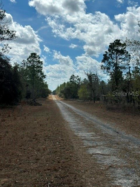 Nice lot in Rainbow Park Subdivision. A 0.23 acre vacant land to build your home. Just off West Hwy 40, near World Equestrian Center,  Rainbow River Estate Park and easy access to the main arteries of Marion County. A fast growing zone.