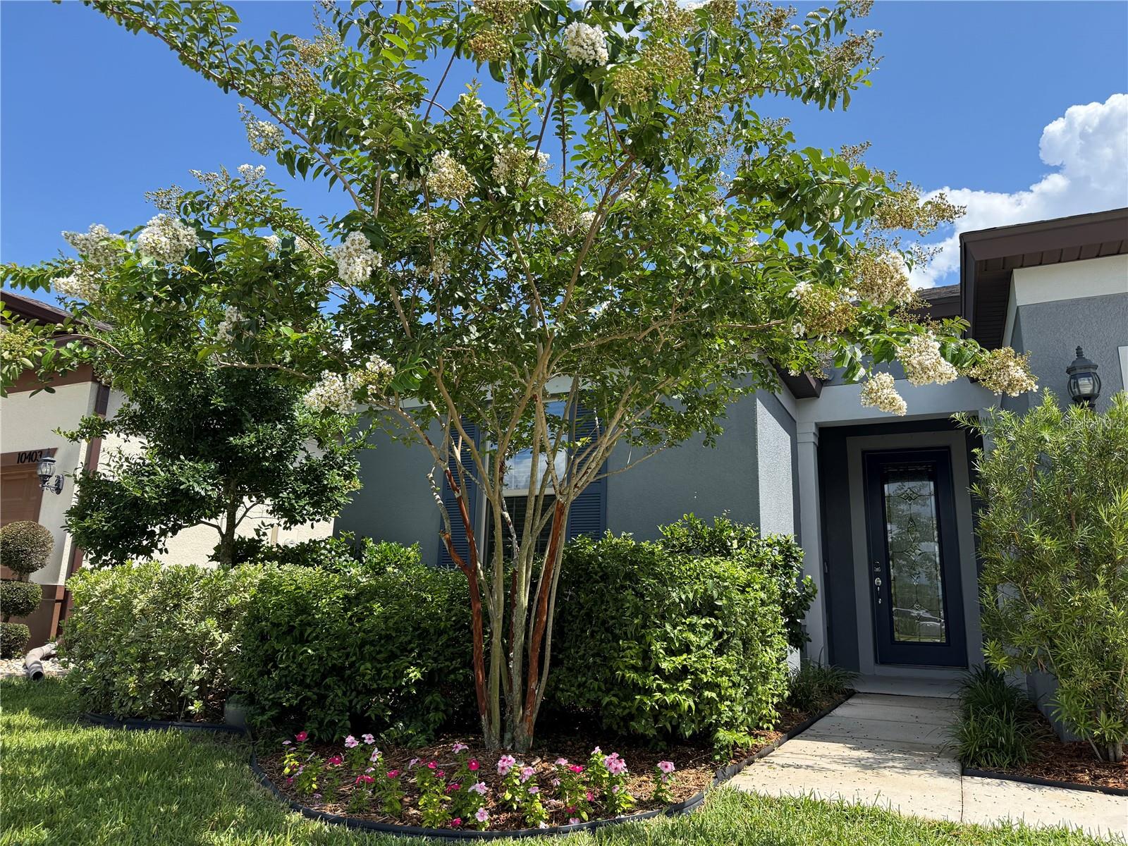 VENTANA GRVS PH 2B - Residential