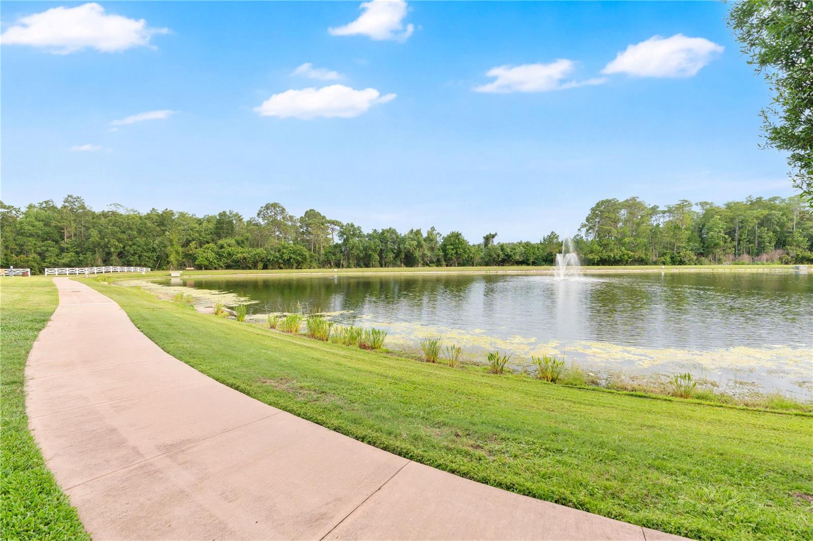 THORNHILL - Residential