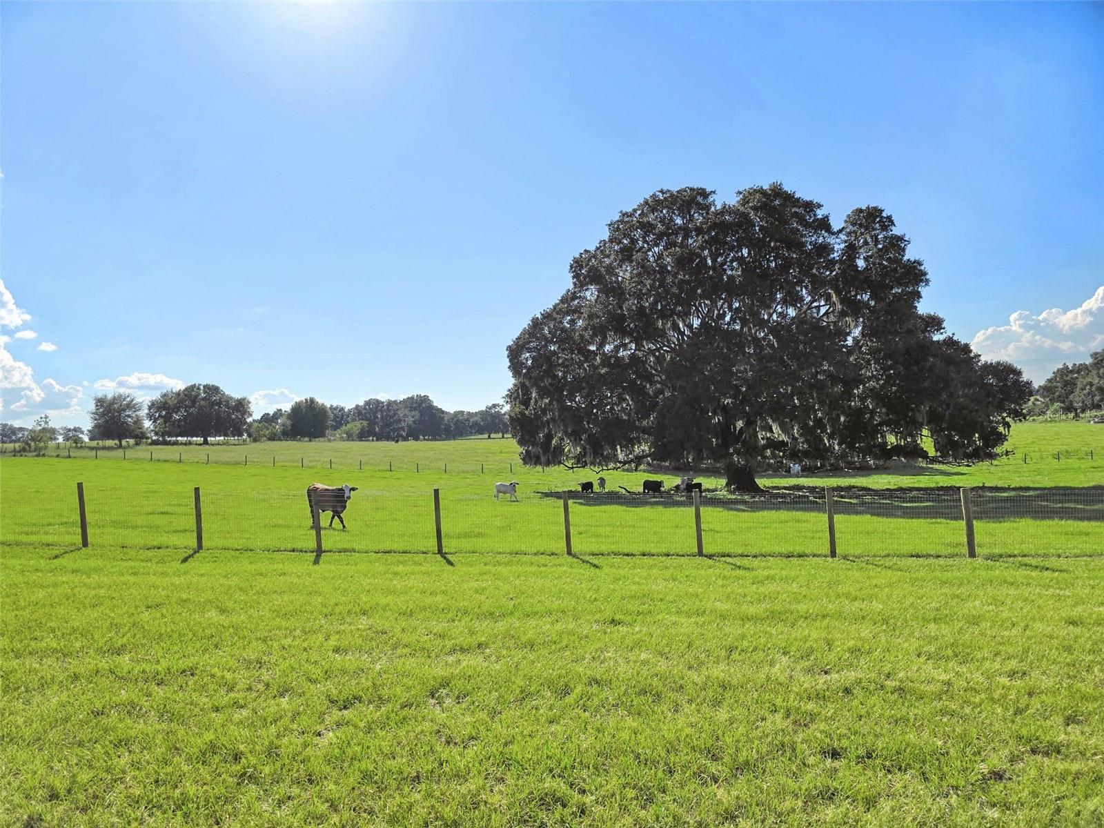 GOLD MEDAL FARMS - Residential