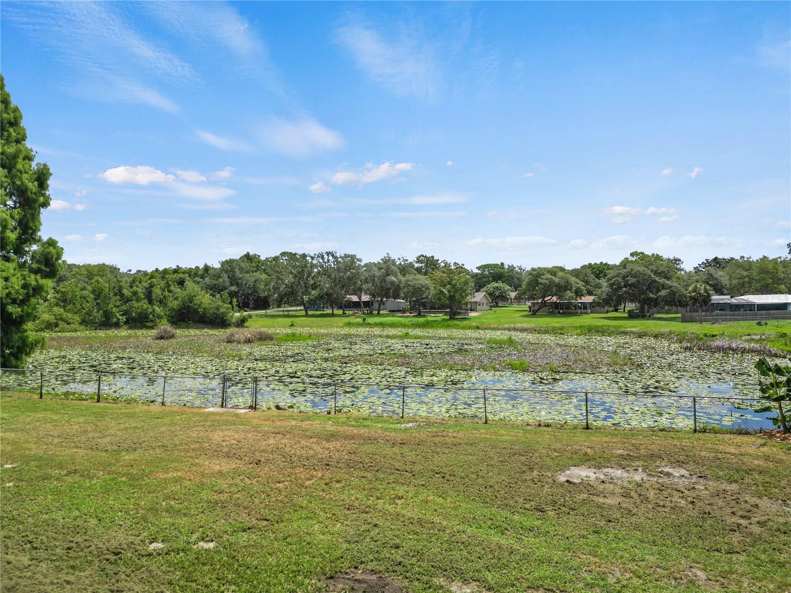 WATER OAKS - Residential