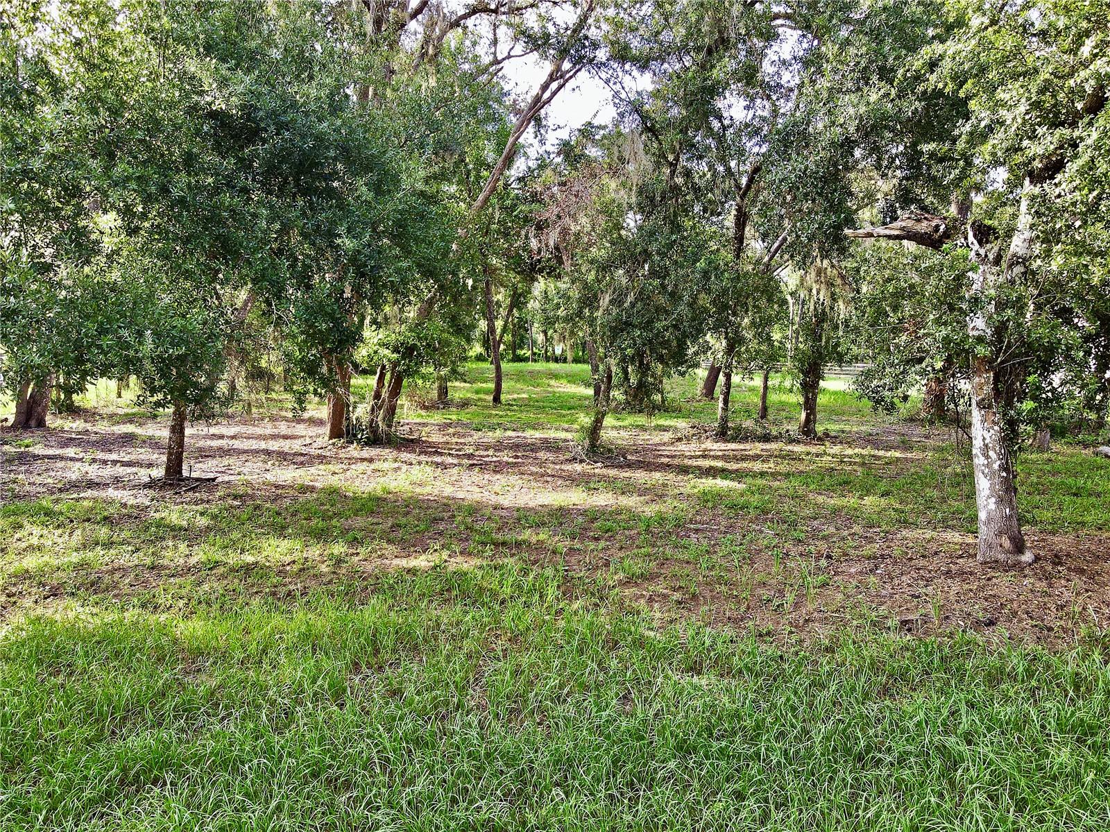 BARISH SUB - Land