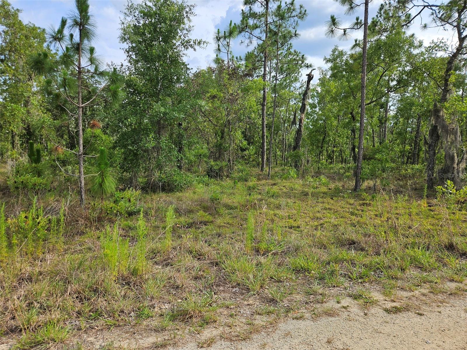 WILLISTON HIGHLANDS GOLF & C CLUB ESTATES - Land