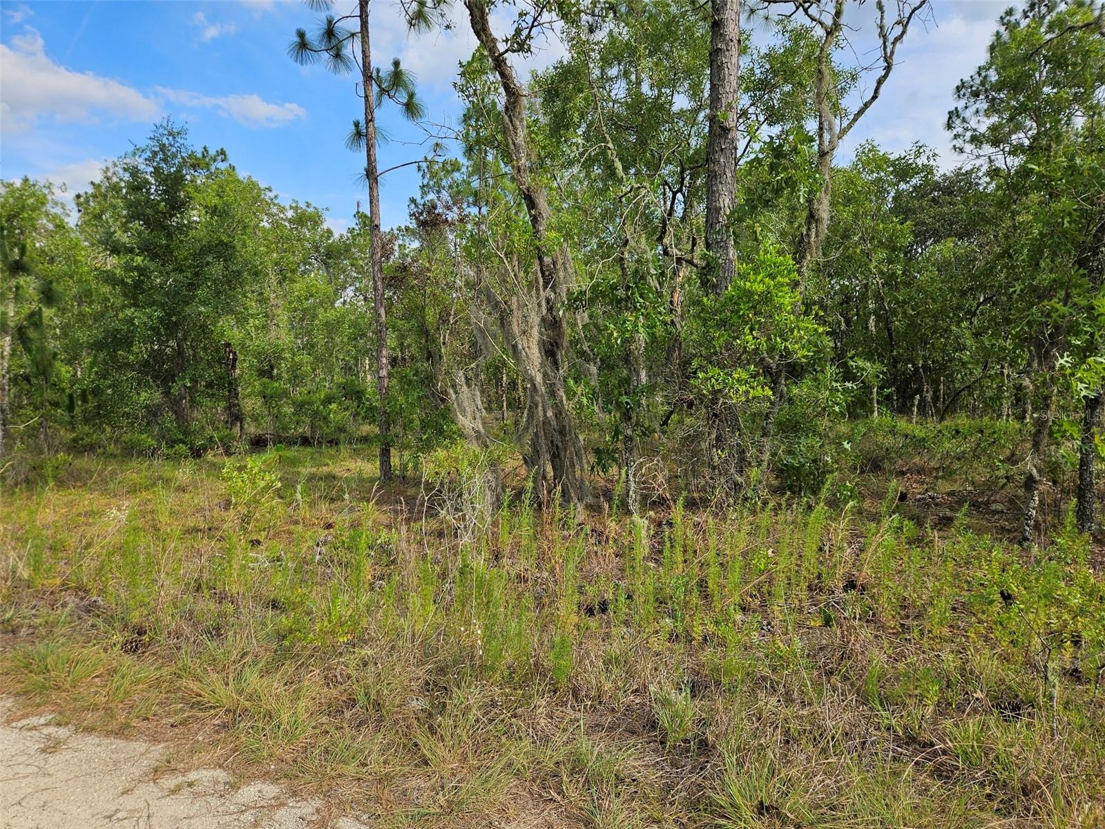 WILLISTON HIGHLANDS GOLF & C CLUB ESTATES - Land