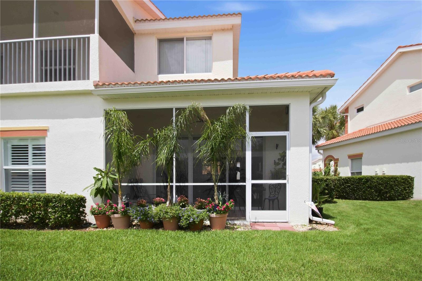 PALM GROVE - Residential