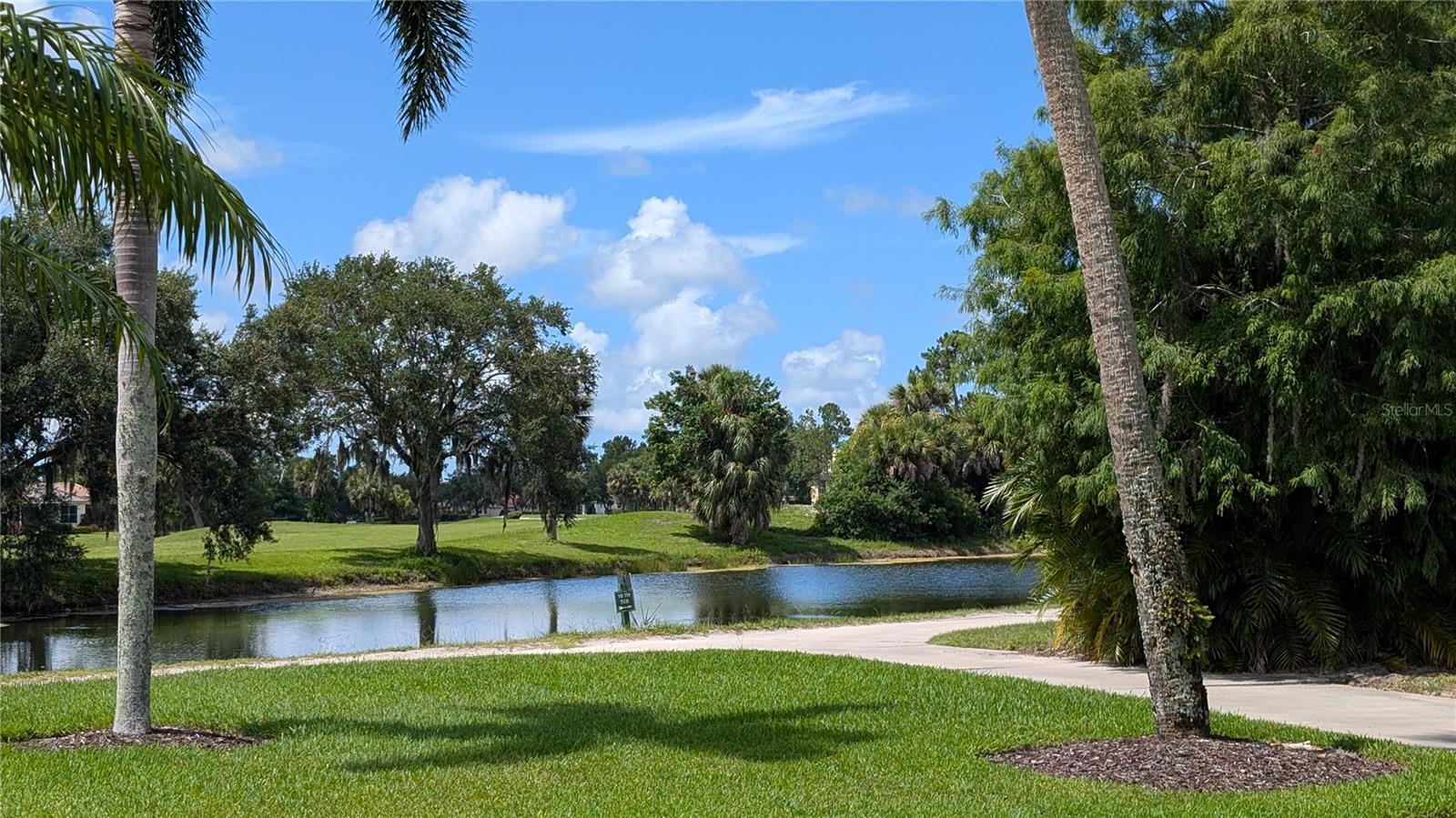 PALM GROVE - Residential